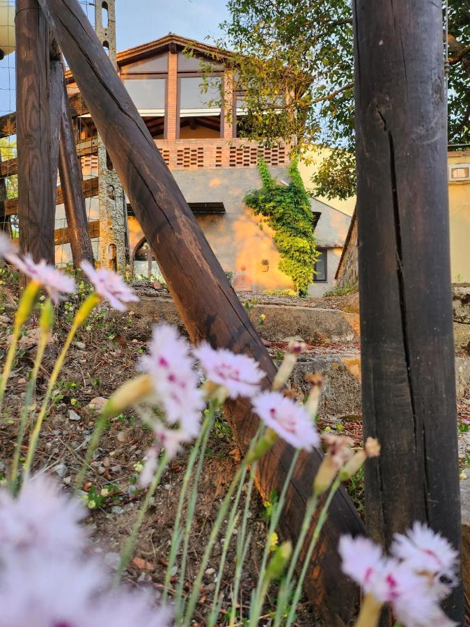 Il Giuggiolo - La Collina Della Quiete Bed and Breakfast Certaldo Esterno foto