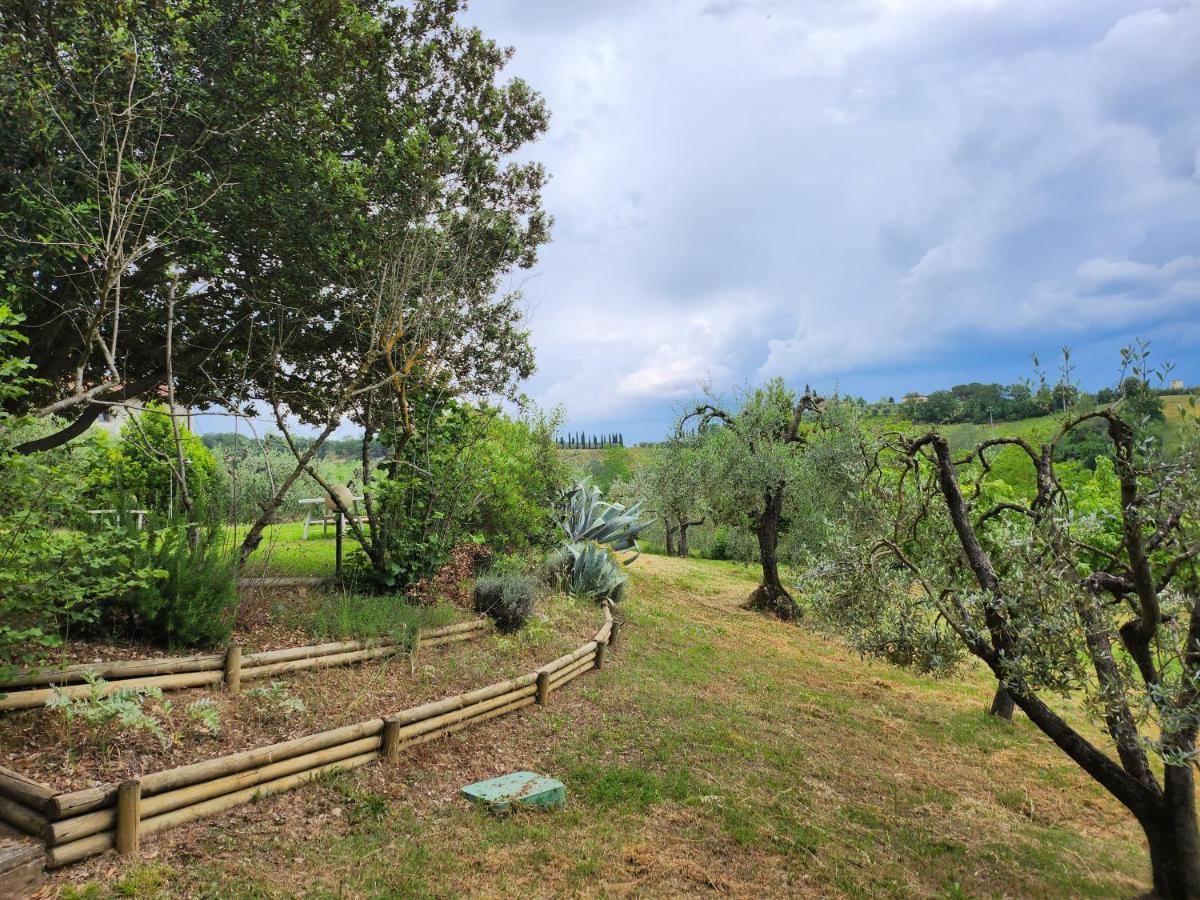 Il Giuggiolo - La Collina Della Quiete Bed and Breakfast Certaldo Esterno foto