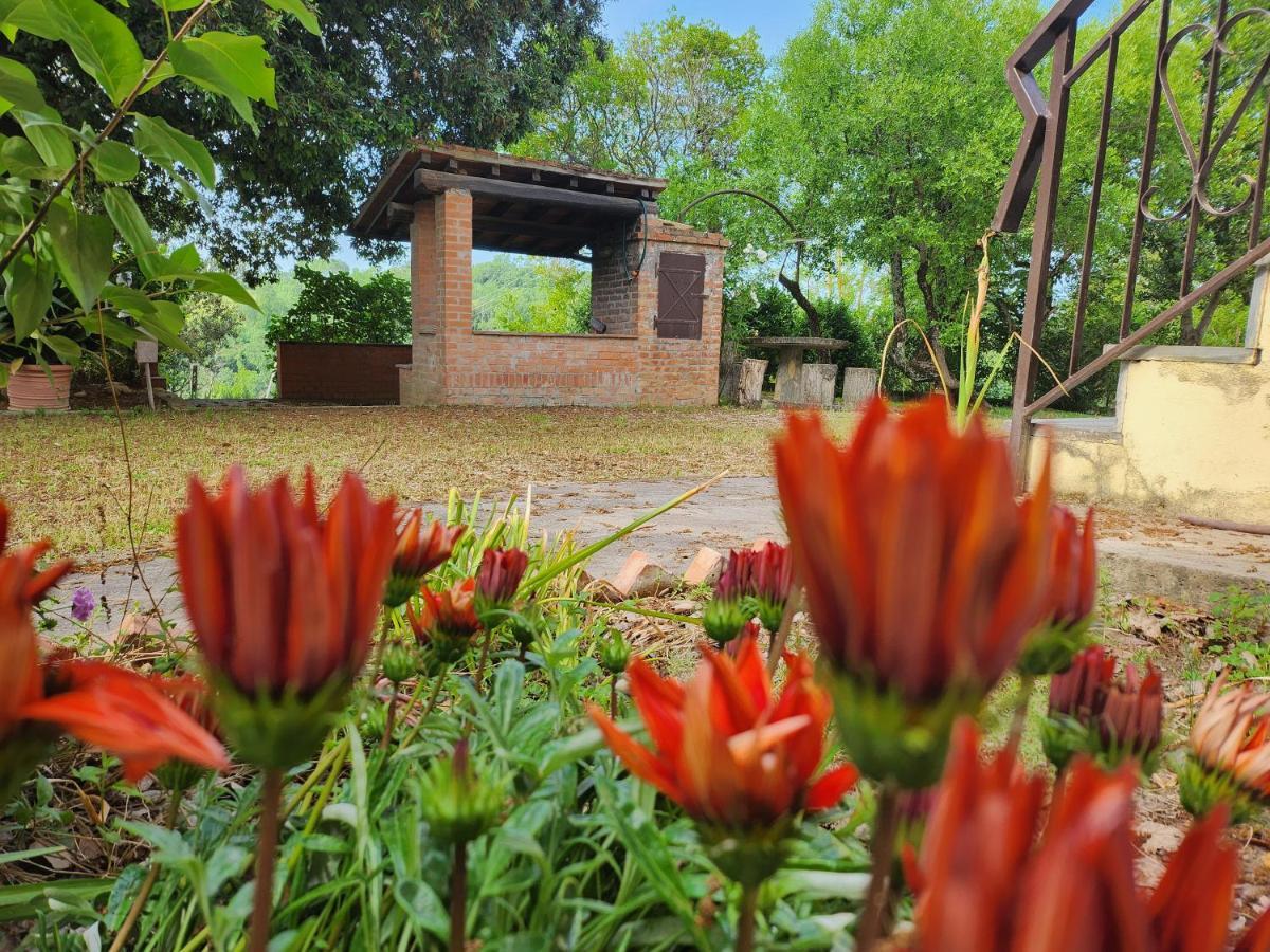 Il Giuggiolo - La Collina Della Quiete Bed and Breakfast Certaldo Esterno foto